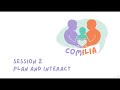 Session 2 – Plan and Interact