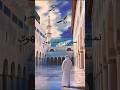 اناشيد العفاسي اكسبلور لايك ترند تيك توك قرآن قران كريم دعاء Capcut Shorts اناشيد العفاسي اكسبلور لايك ترند تيك توك قرآن قران كريم دعاء Capcut Shorts