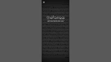 #القرآن #القرآن_الكريم #quran #quran_alkarim #fyp #ياسر_الدوسري #سورة_طه
