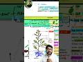 Tap Root  | Structure, Diagram &amp; Examples | Class 11 Biology #neet #morphologyoffloweringplants