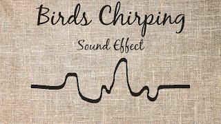 Birds Chirping Sound Effect