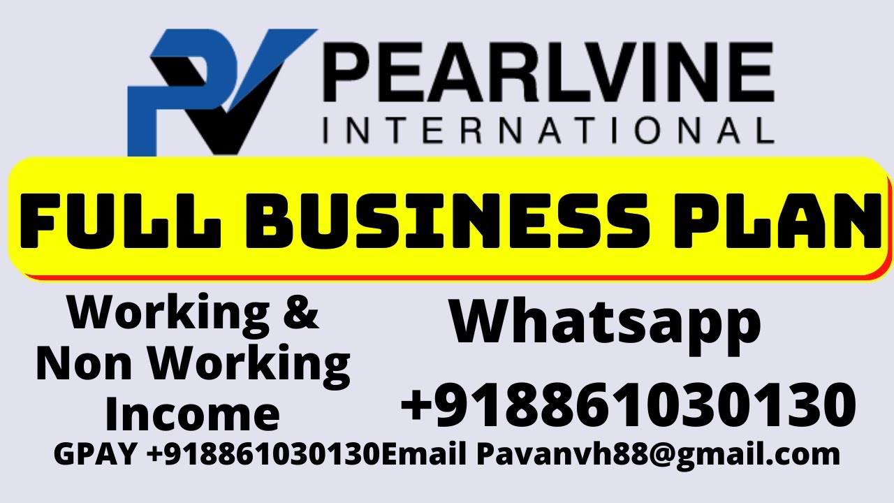pearlvine international business plan