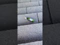 Bottle Breaking Sounds Asmr Soundeffects Glass 