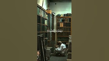 ويمح الله الباطل ويحق الحق بكلماته إنه عليم بذات الصدور - سوره الشوري - الشيخ محمود الحصري