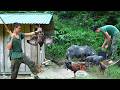 Tracking Wild Boar in Nature with Real Sounds | Duck Hunting Adventure