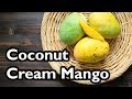 Truly Tropical Mango Varieties- 'Coconut Cream' - YouTube