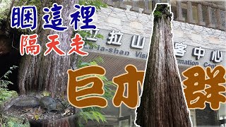 拉拉山遊客中心下方停車場車泊，隔天前往拉拉山森林遊樂區走 ... 