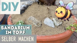 DIY - SANDARIUM im Topf selber machen 