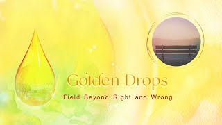 Golden Drops - Field Beyond Right and Wrong