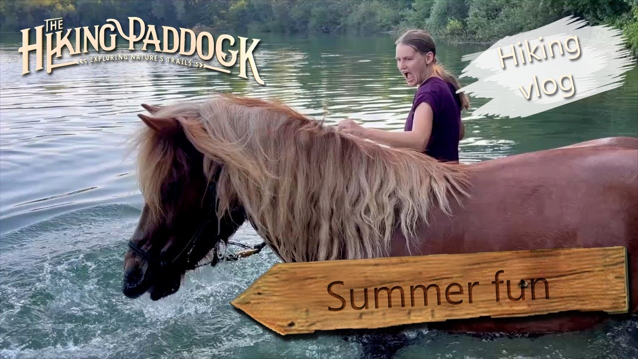 Swimming and hiking with my Icelandic horse | the hiking paddock