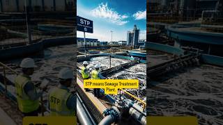STP Plant lo Root Blowers Service Kavala Contact US #stpplant #etpplant #wtp