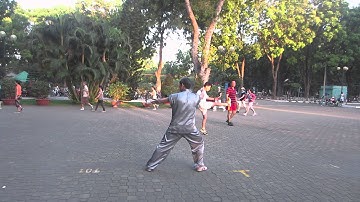 Thái cực chưởng 132 thức (phần 2) do võ sư Thiều Ngọc Sơn biểu diễn.