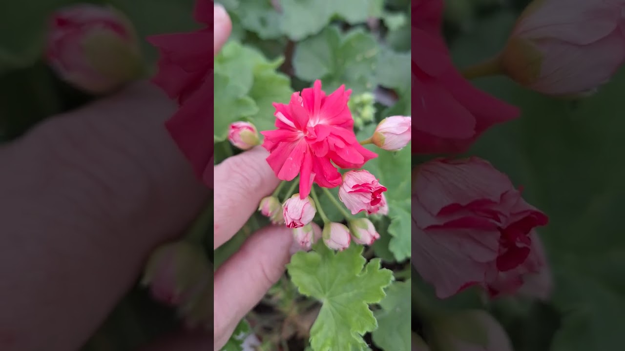 Осенний обзорчик 28 сентября часть 2. 