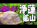 伊豆には水晶がいっぱい‼【静岡県 伊豆市･浄蓮鉱山】アメジスト？もあったぞ！
