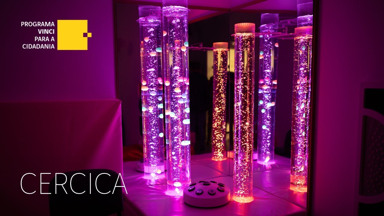 Programa VINCI para a Cidadania | CERCICA
