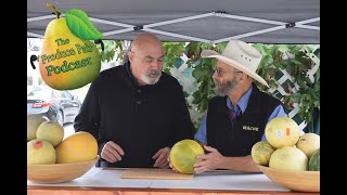 Produce Pair Summer Melon Taste Off!