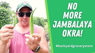 We're NEVER Growing This Okra Variety Again!