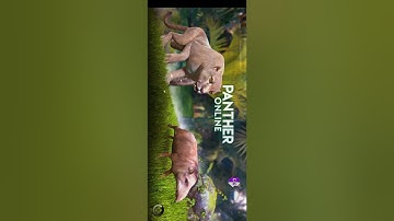 Panther Online Fix Movement Code