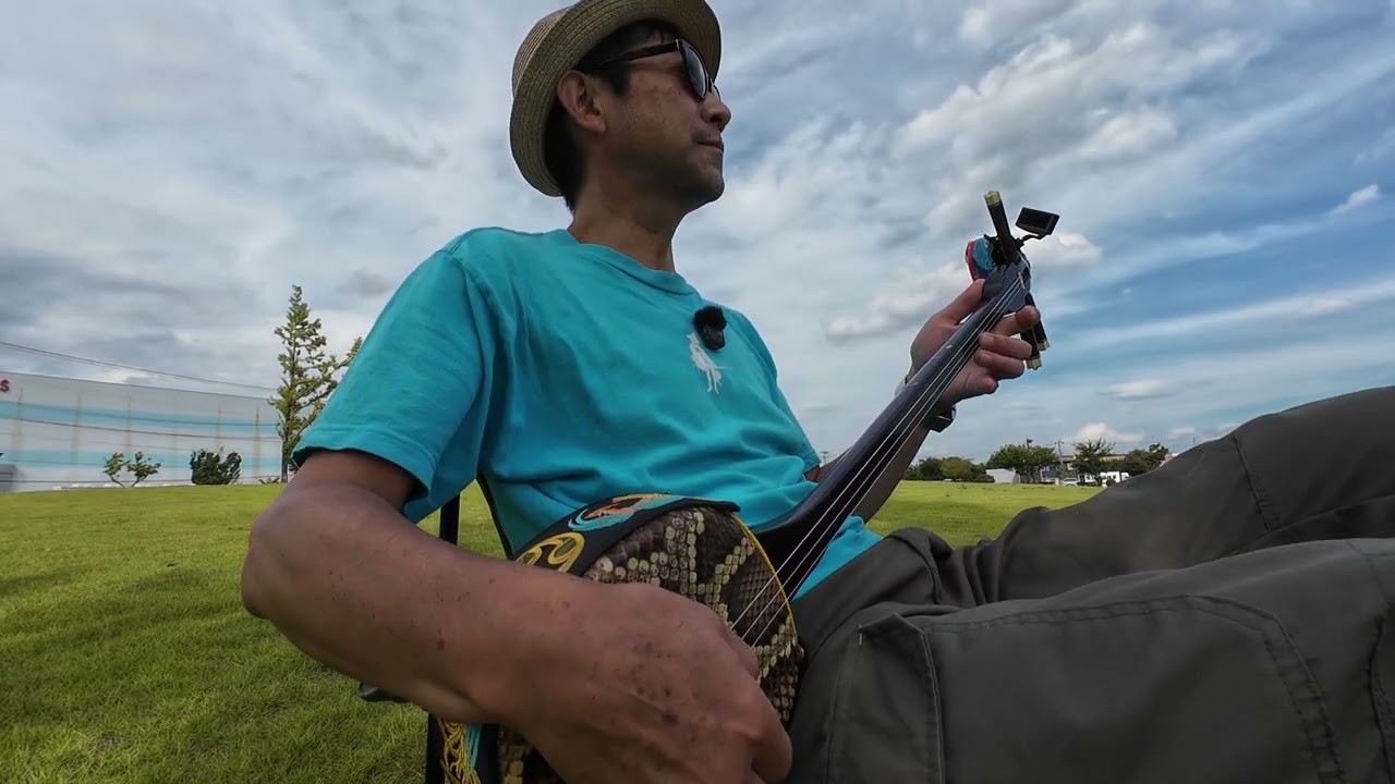 三線の花を弾いてみた