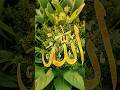 The Beautiful Names of Allah – Feel the Power of Faith & Peace. 🤲✨ #Allah #IslamicShorts