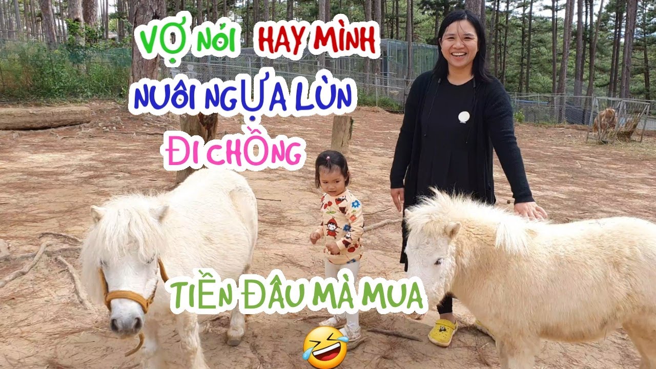 zoodoo da lat New Nhà Toản Tham Quan Vườn Thú Zoodoo- Nơi Có Ngựa Lùn, Lạc Đà Lùn| Nhà Toản Tại Đà Lạt