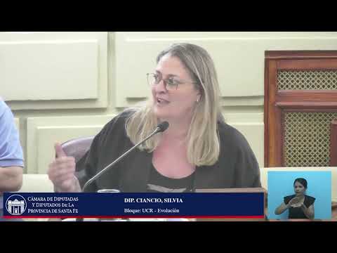 INTERVENCION DIPUTADA CIANCIO