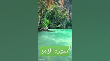 سورة الزمر #اكسبلور #القزابري #الرحمن #دويتو #تيك_توك #المصحف #لايك #duet #quran #صباح_الخير