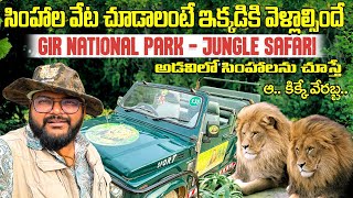 Gir National Park || Lion Safari In Gypsy Route no 2 || Sasan Gir Gujarat | Telugu Travel Vlogger