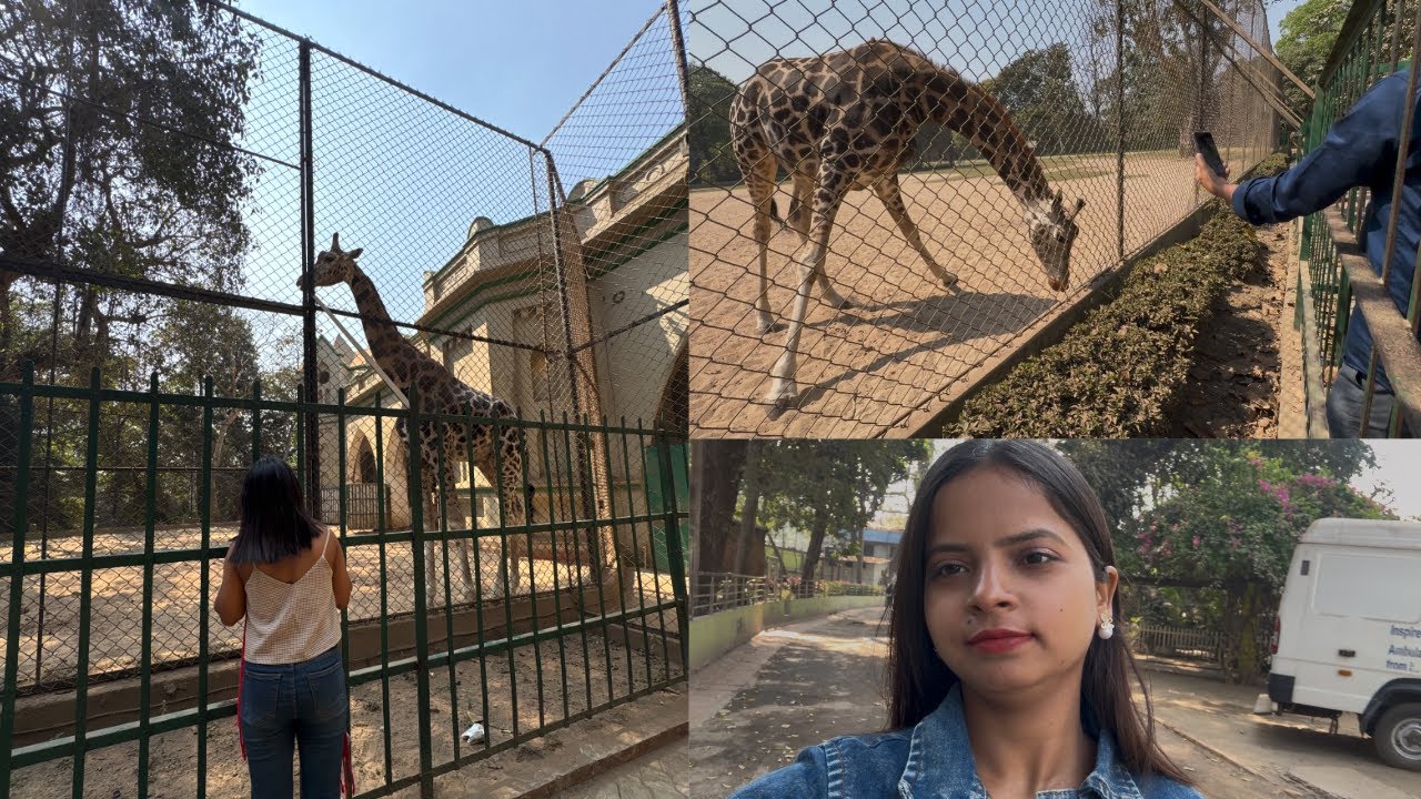 Kolkata Alipore Zoo 🦁🐘 | Bahut Maja aaya 😍 | Jyoti Singh vlog 