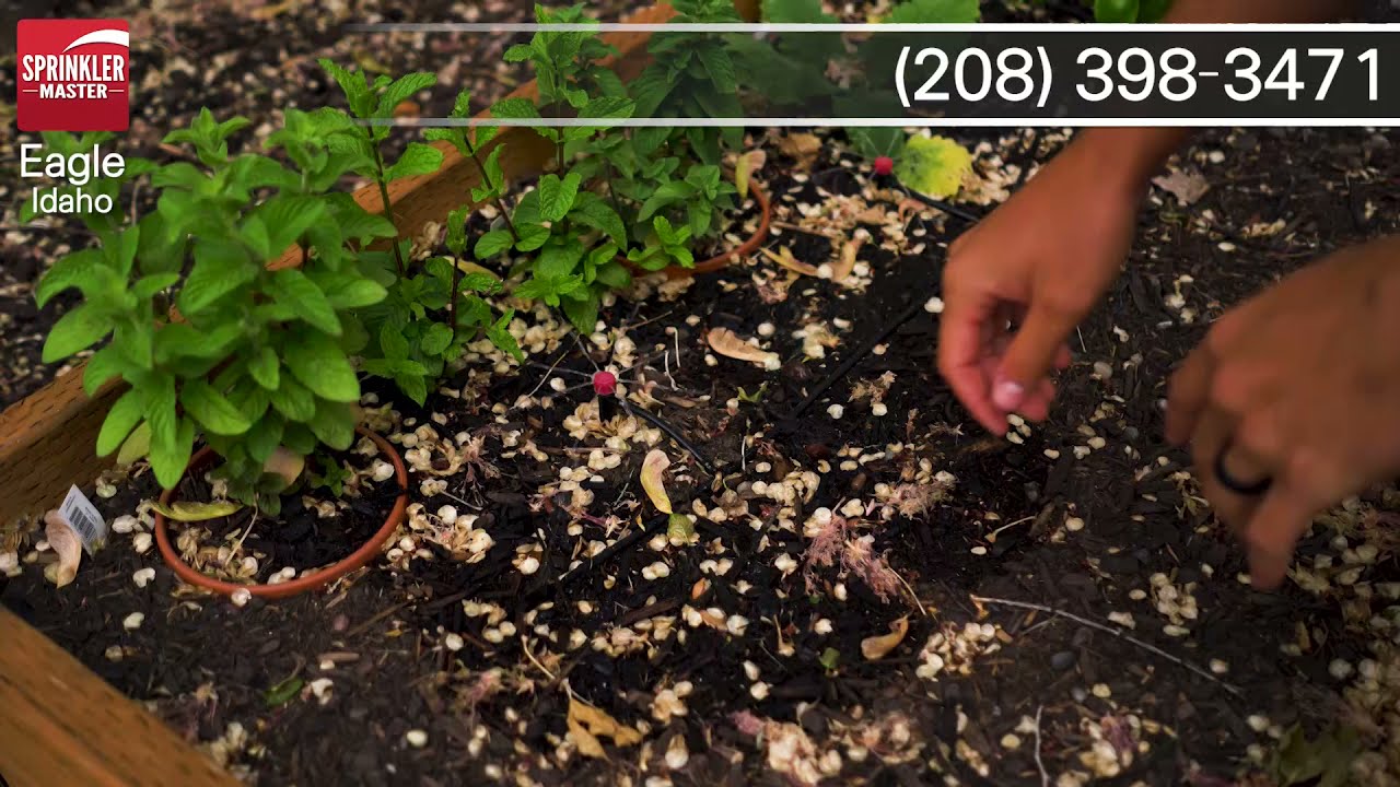 Sprinkler Repairs with Sprinkler Master Repair (Eagle, ID) 208398