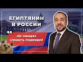 Египтянин в России: никакого культурного шока, никаких медведей