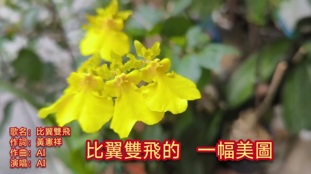 比翼雙飛_女聲抒情慢版