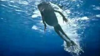 NTT Data commercial from asia