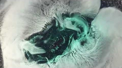 Pills Dissolve in macro