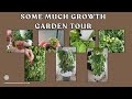 Inside the Tower Garden Nursery- LIVE Seedlings, Pollination & Harvest Prep Made Easy #towergarden