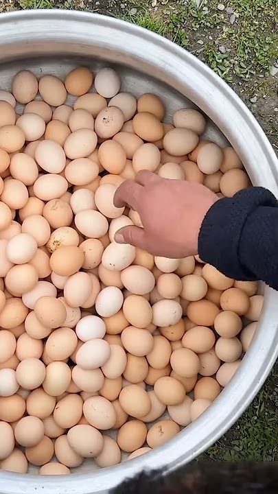 🥚 Cooked a Giant Mountain of Eggs for Marinating in a Jar! Rural Life Adventure 🌾