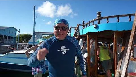 #акулы #Мальдивы #дайвингсакулами #shark Дайвинг с Тигровыми акулами