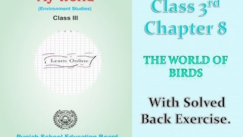 |Class 3rd|EVS|PSEB| Chapter 8 [The World Of Birds]