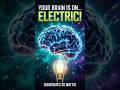 Your Brain is a BIOLOGICAL Power Plant! ⚡ #Shorts #Science