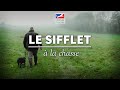 Le sifflet a la chasse  chiens de chasse ep 7