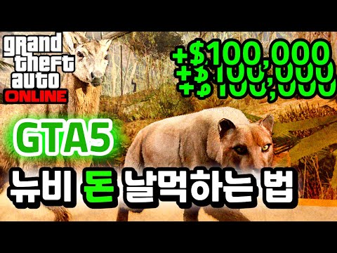 GTA5 초반 돈벌이 1티어 될 수도?! [야생 동물 사진 찍기] 뉴비분들 이거부터 하세요