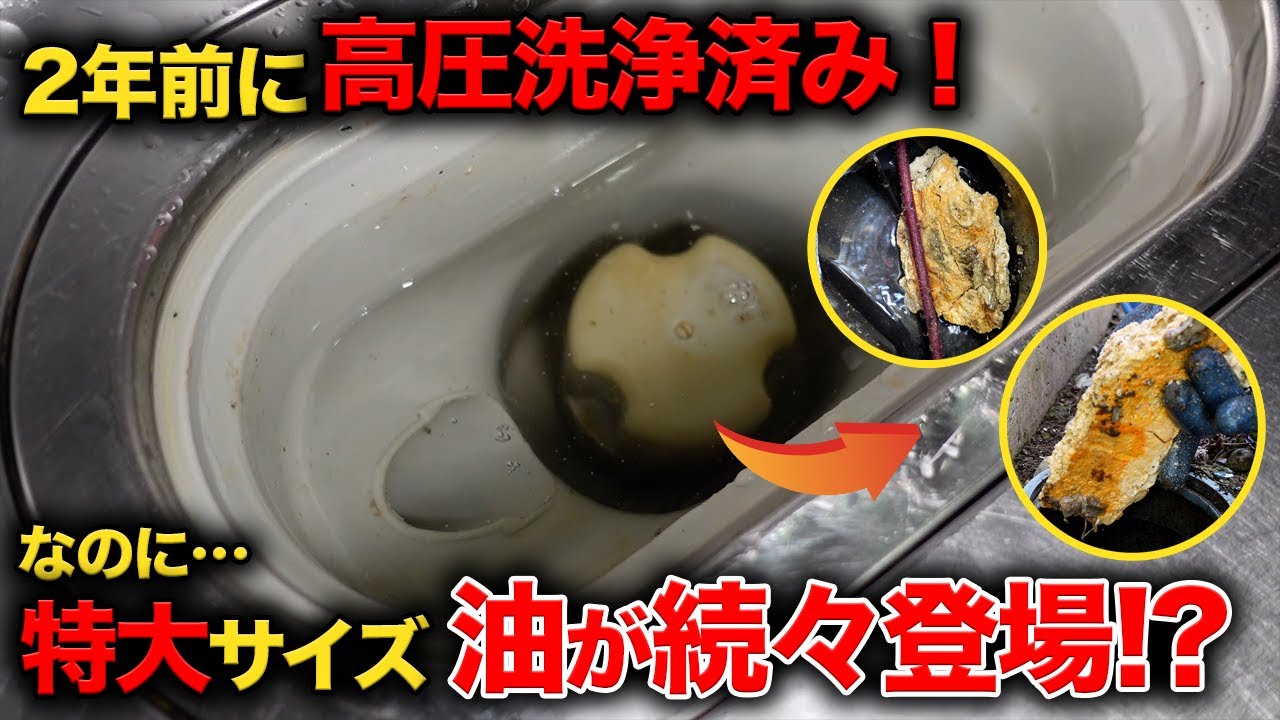 え！？２年で油ってこうなるの？？２年前高圧洗浄して再度詰まった！！築４０年の台所詰まり【花のお掃除 #282】