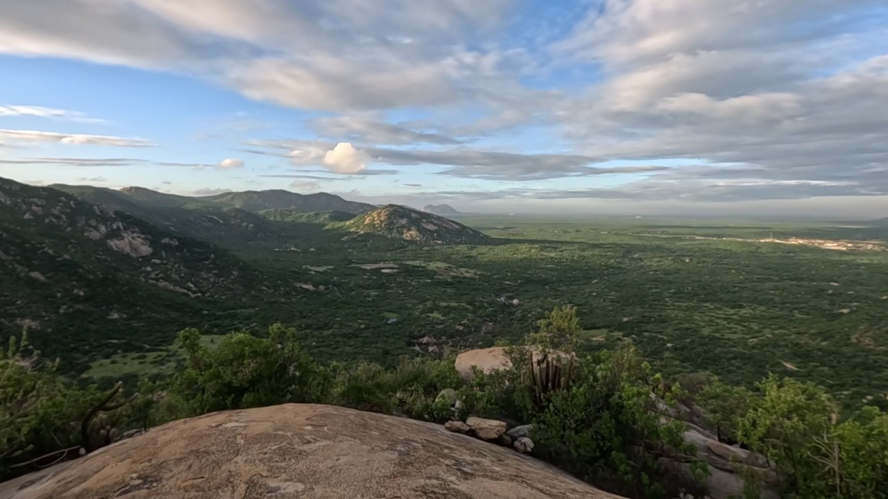 A RENOVAÇÃO DA CAATINGA: A SERRA DAS CRUZES EM SEU MELHOR MOMENTO