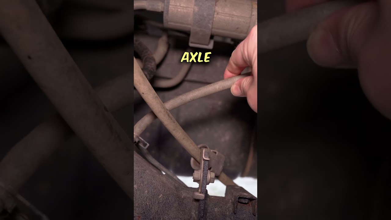 Conquer River Crossings like a True HERO: Top Tips Revealed! 🦸‍♂️🇳🇿🚙💦