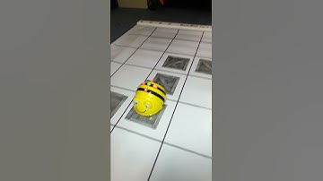 BeeBot Robot