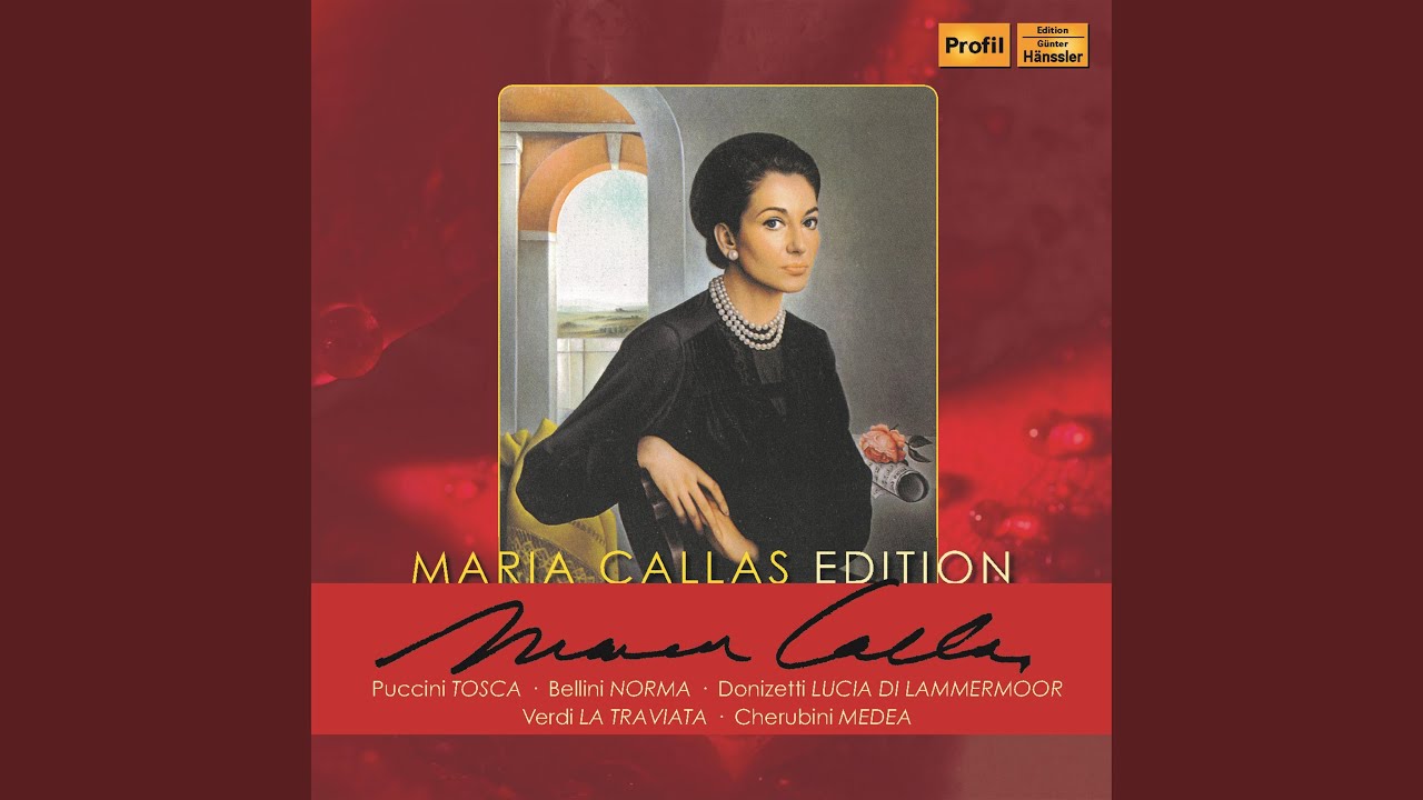 Il turco in Italia: Non si da follia maggiore