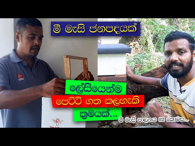 මී මැසි පාලනය ආරම්භ කරන්න මෙන්න ලේසි ක්‍රමය!