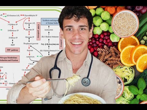 Video: Principi Di Nutrizione Ideale
