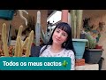 TOUR PELOS  MEUS CACTOS E UMA SURPRESA &quot; O CACTO MONSTRO&quot; VEJA COMO ELE ESTÁ!