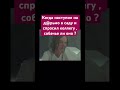 Дорогие собачники , убирайте за своими питомцами #мем #прикол #райангослинг